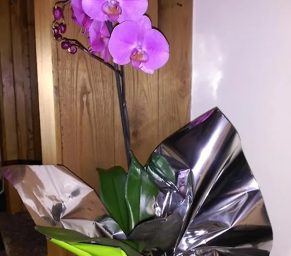 Pr San Nicolas Santiago de Compostela